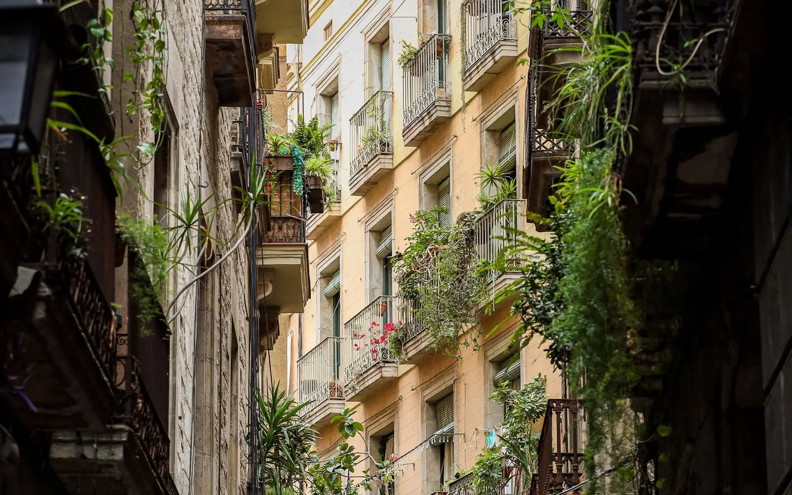 Calle estrecha de Barcelona con balcones llenos de plantas